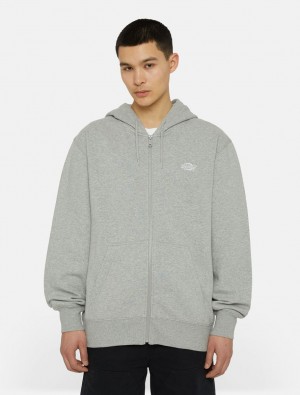 Moletom com Capuz Dickies Summerdale Full-Zip Masculino Cinzentas | 330453349