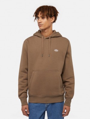 Moletom com Capuz Dickies Summerdale Masculino Marrom | 29911781