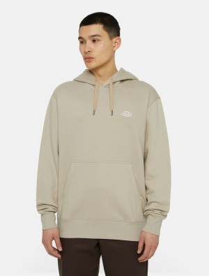 Moletom com Capuz Dickies Summerdale Masculino Caqui | 707259967