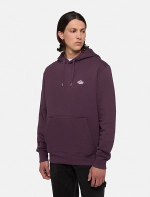 Moletom com Capuz Dickies Summerdale Masculino Roxo | 922210012