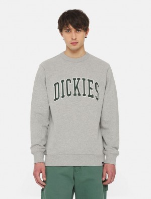 Moletons Dickies Aitkin Masculino Cinzentas | 957154096
