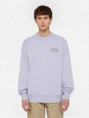 Moletons Dickies Aitkin Masculino Lavanda | 831170856