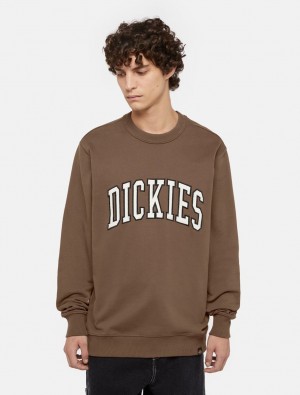 Moletons Dickies Aitkin Masculino Marrom | 446276094
