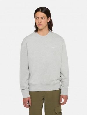 Moletons Dickies Clancy Heavyweight Masculino Cinzentas | 767756463