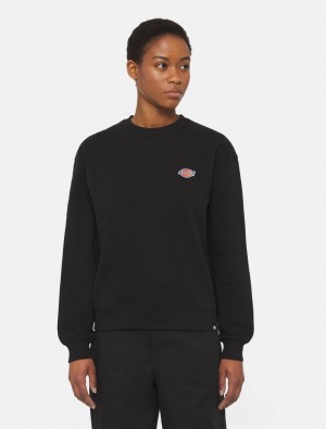 Moletons Dickies Millersburg Feminino Pretas | 980381429