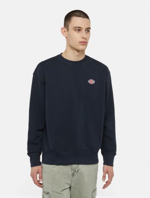 Moletons Dickies Millersburg Masculino Azul Marinho | 680801570