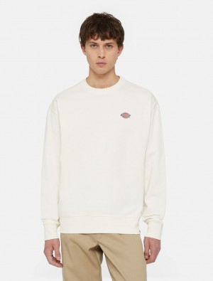 Moletons Dickies Millersburg Masculino Branco | 408275972
