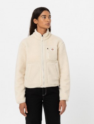 Moletons Dickies Mount Hope Fleece Feminino Bege | 272385307
