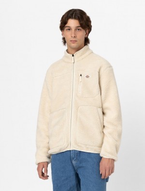 Moletons Dickies Mount Hope Fleece Masculino Branco | 492850642