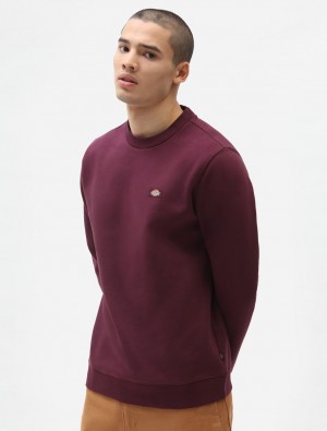 Moletons Dickies Oakport Masculino Bordeaux | 96784101