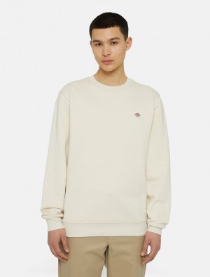 Moletons Dickies Oakport Masculino Branco | 856949584