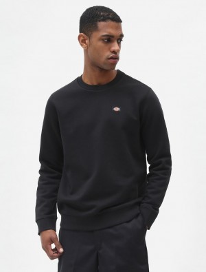 Moletons Dickies Oakport Masculino Pretas | 808816361