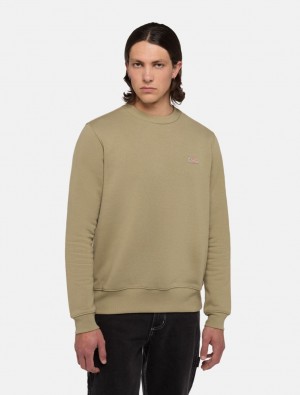 Moletons Dickies Oakport Masculino Verde Oliva | 190894396