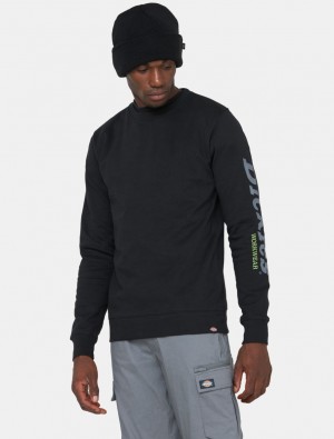 Moletons Dickies Okemo Graphic Masculino Pretas | 801002993