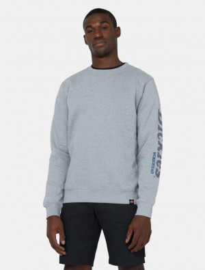 Moletons Dickies Okemo Graphic Masculino Cinzentas | 904055946