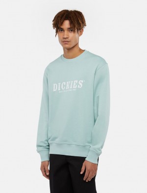 Moletons Dickies Script Masculino Azuis | 570334366