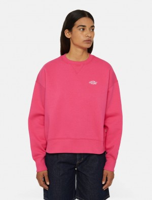 Moletons Dickies Summerdale Feminino Rosa | 166964448