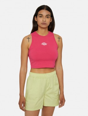 Regata Dickies Powers Feminino Rosa | 112610530
